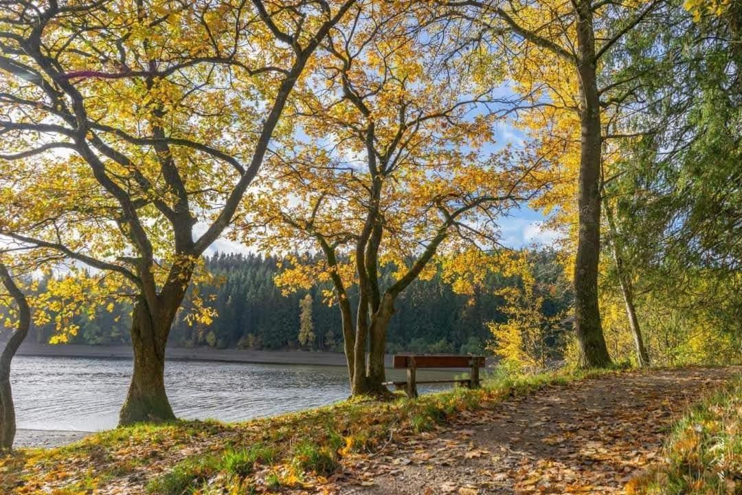 Lac Abane Au Lac Butgenbach Εξωτερικό φωτογραφία